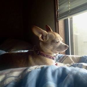 Meet your Posher, Mike